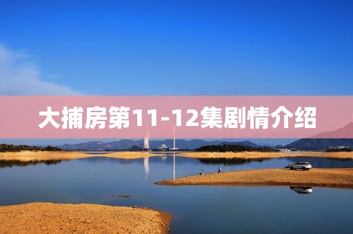 大捕房第11-12集剧情介绍