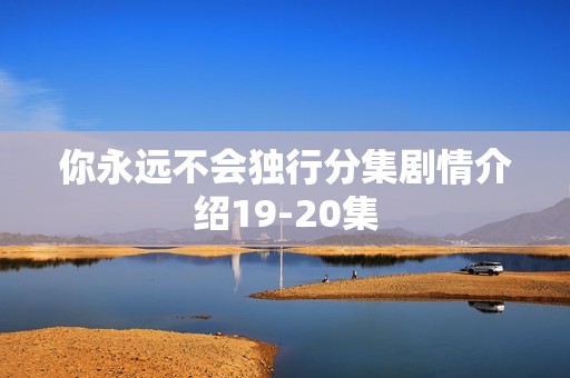 你永远不会独行分集剧情介绍19-20集