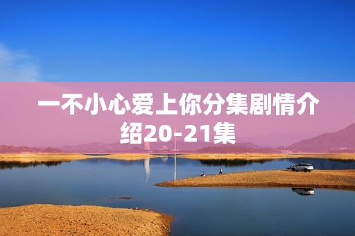 一不小心爱上你分集剧情介绍20-21集