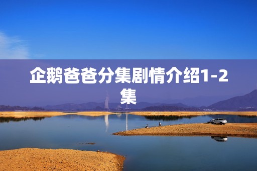 企鹅爸爸分集剧情介绍1-2集