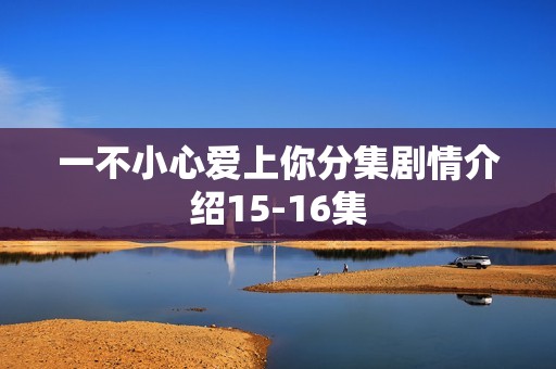 一不小心爱上你分集剧情介绍15-16集