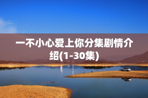 一不小心爱上你分集剧情介绍(1-30集)