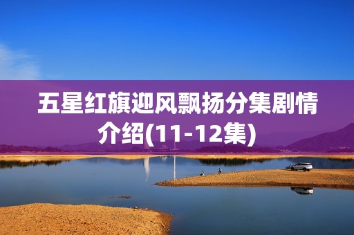 五星红旗迎风飘扬分集剧情介绍(11-12集)