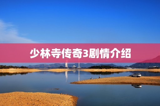 少林寺传奇3剧情介绍