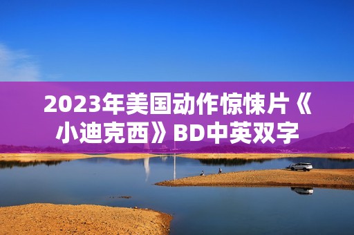 2023年美国动作惊悚片《小迪克西》BD中英双字