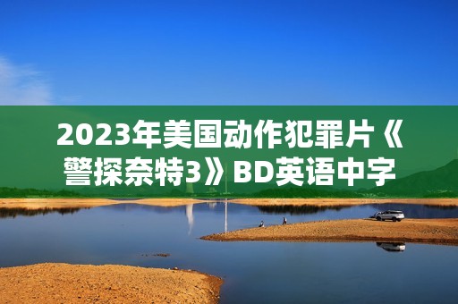 2023年美国动作犯罪片《警探奈特3》BD英语中字