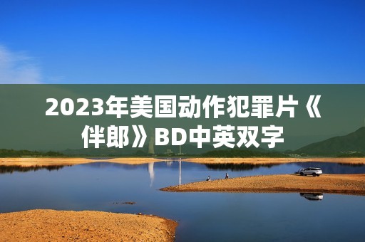2023年美国动作犯罪片《伴郎》BD中英双字