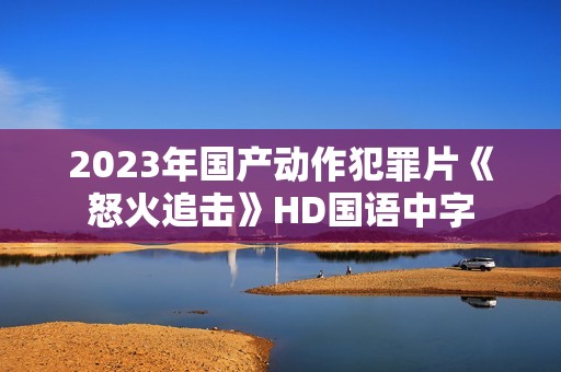 2023年国产动作犯罪片《怒火追击》HD国语中字