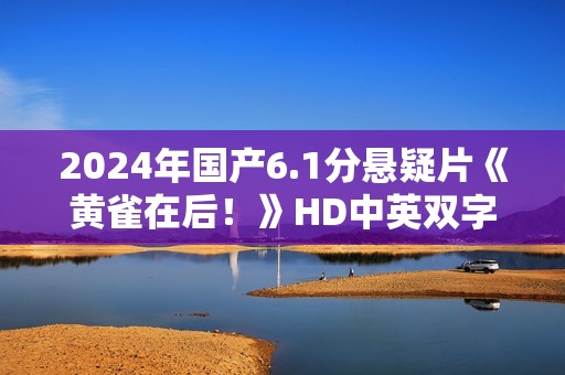 2024年国产6.1分悬疑片《黄雀在后！》HD中英双字