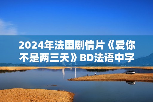 2024年法国剧情片《爱你不是两三天》BD法语中字