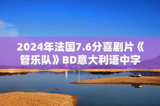 2024年法国7.6分喜剧片《管乐队》BD意大利语中字