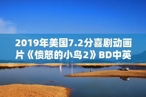 2019年美国7.2分喜剧动画片《愤怒的小鸟2》BD中英双字修复