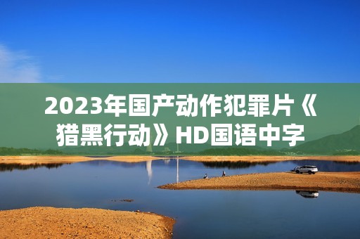 2023年国产动作犯罪片《猎黑行动》HD国语中字