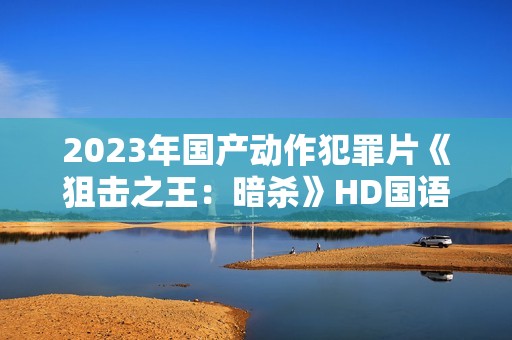2023年国产动作犯罪片《狙击之王：暗杀》HD国语中字