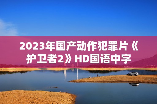 2023年国产动作犯罪片《护卫者2》HD国语中字