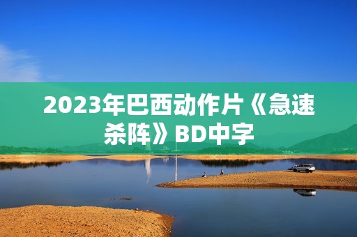 2023年巴西动作片《急速杀阵》BD中字