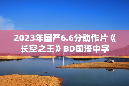2023年国产6.6分动作片《长空之王》BD国语中字