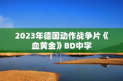 2023年德国动作战争片《血黄金》BD中字