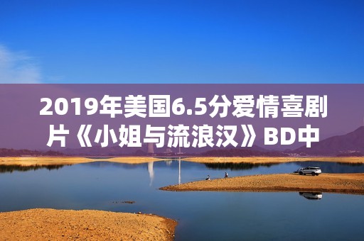 2019年美国6.5分爱情喜剧片《小姐与流浪汉》BD中英双字