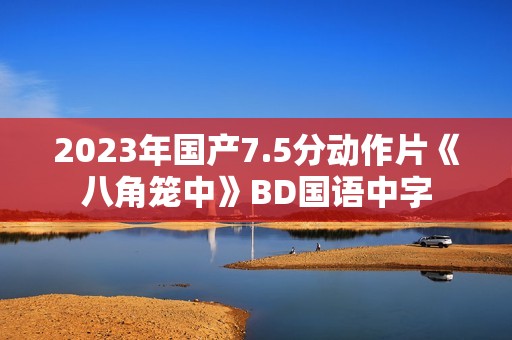 2023年国产7.5分动作片《八角笼中》BD国语中字 2023年国产7.5分动作片《八角笼中》BD国语中字
