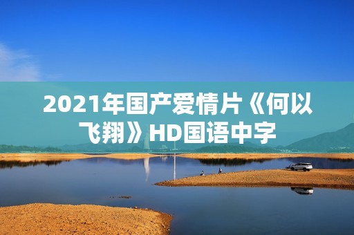 2021年国产爱情片《何以飞翔》HD国语中字