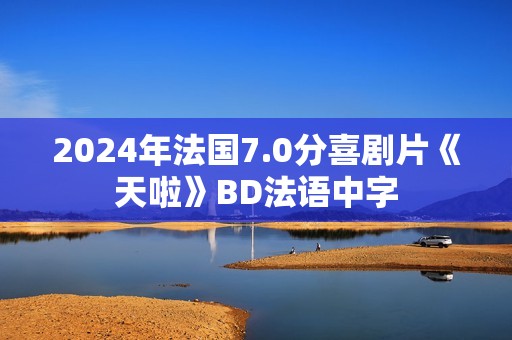 2024年法国7.0分喜剧片《天啦》BD法语中字