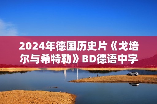 2024年德国历史片《戈培尔与希特勒》BD德语中字
