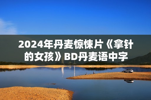 2024年丹麦惊悚片《拿针的女孩》BD丹麦语中字