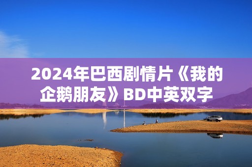 2024年巴西剧情片《我的企鹅朋友》BD中英双字