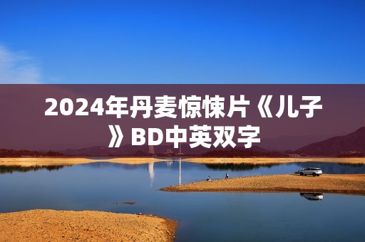 2024年丹麦惊悚片《儿子》BD中英双字 2024年丹麦惊悚片《儿子》BD中英双字