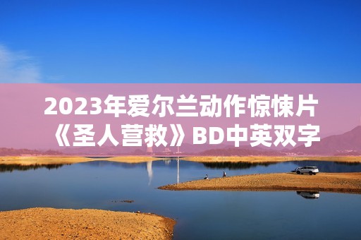 2023年爱尔兰动作惊悚片《圣人营救》BD中英双字