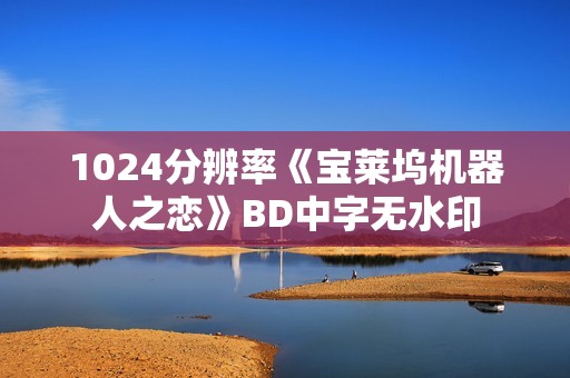 1024分辨率《宝莱坞机器人之恋》BD中字无水印
