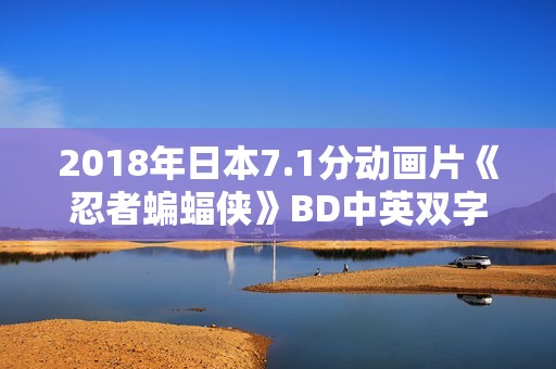 2018年日本7.1分动画片《忍者蝙蝠侠》BD中英双字