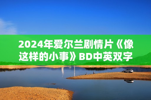 2024年爱尔兰剧情片《像这样的小事》BD中英双字