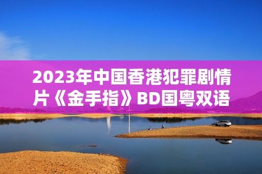 2023年中国香港犯罪剧情片《金手指》BD国粤双语中字