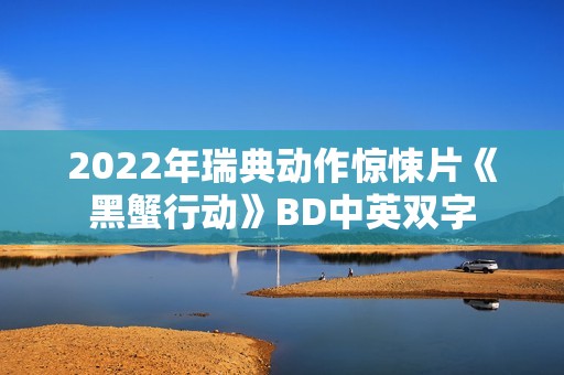 2022年瑞典动作惊悚片《黑蟹行动》BD中英双字