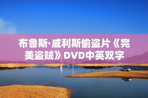布鲁斯·威利斯偷盗片《完美盗贼》DVD中英双字