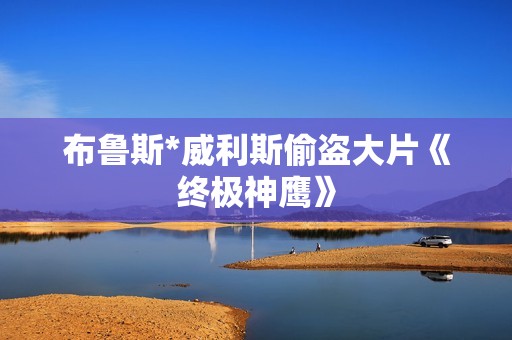 布鲁斯*威利斯偷盗大片《终极神鹰》
