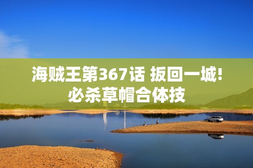 海贼王第367话 扳回一城!必杀草帽合体技