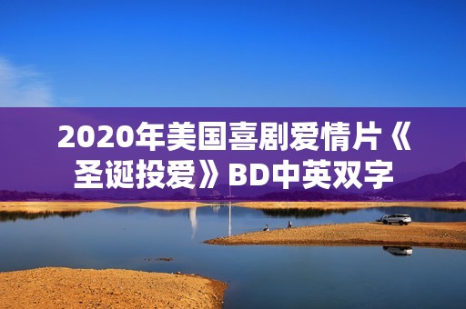 2020年美国喜剧爱情片《圣诞投爱》BD中英双字