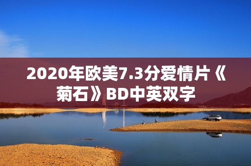 2020年欧美7.3分爱情片《菊石》BD中英双字
