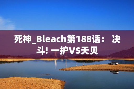 死神_Bleach第188话： 决斗! 一护VS天贝