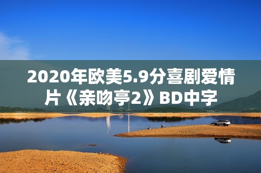 2020年欧美5.9分喜剧爱情片《亲吻亭2》BD中字