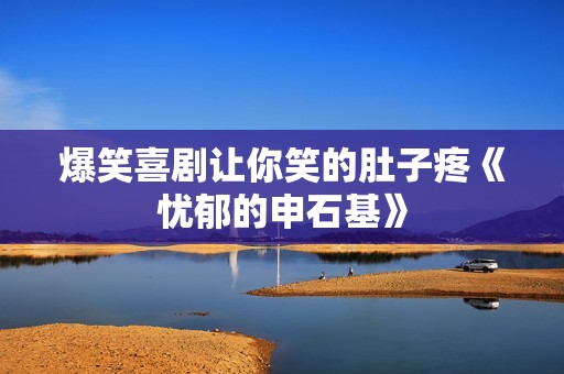 爆笑喜剧让你笑的肚子疼《忧郁的申石基》