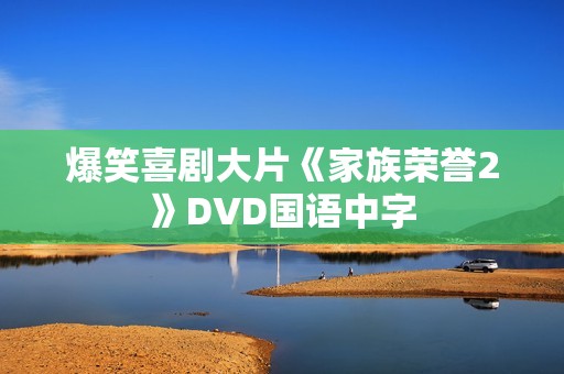 爆笑喜剧大片《家族荣誉2》DVD国语中字