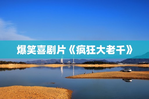 爆笑喜剧片《疯狂大老千》