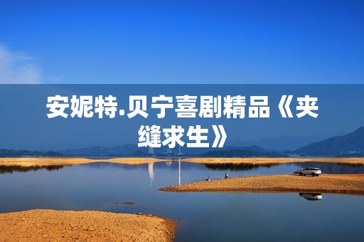 安妮特.贝宁喜剧精品《夹缝求生》