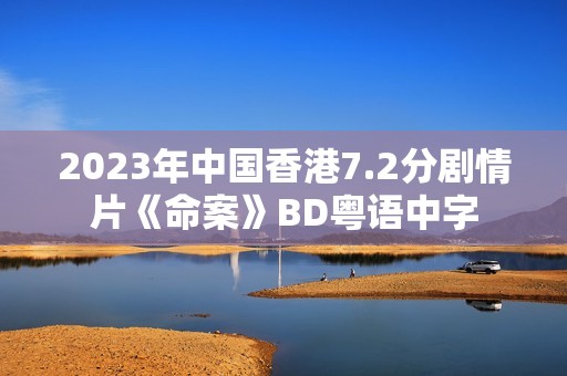 2023年中国香港7.2分剧情片《命案》BD粤语中字