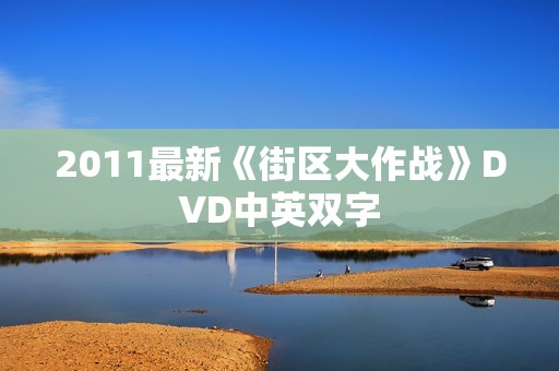 2011最新《街区大作战》DVD中英双字
