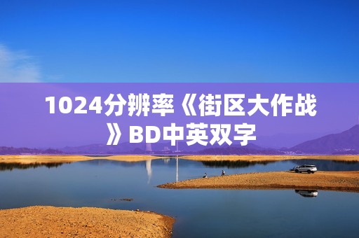 1024分辨率《街区大作战》BD中英双字